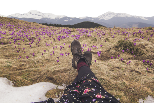 Hiker on flowers hill enjoying mountains view isolated PNG photo with transparent background