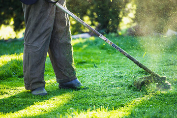 Lawn mover on green grass. Machine for cutting lawns.