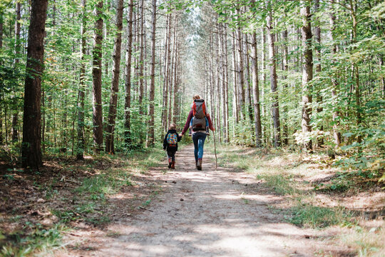 Rear view of mother and children with backpack hiking in forest