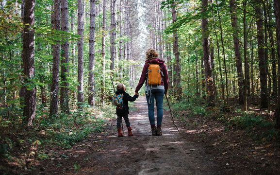 Rear view of mother and son with backpack holding hands while standing on dirt road amidst forest
