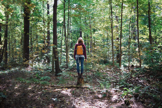 Rear view of woman standing on tree stump amidst forest