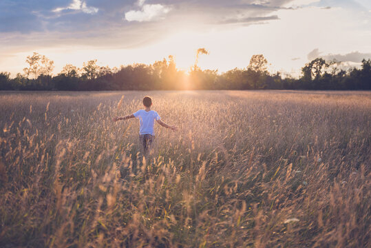 Rear view of boy with arms outstretched standing amidst plants on field during sunset