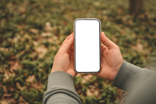 Hand holding phone with blank screen taking photo or selfie in the forest. There is no signal. The concept may relate to digital detox or business message
