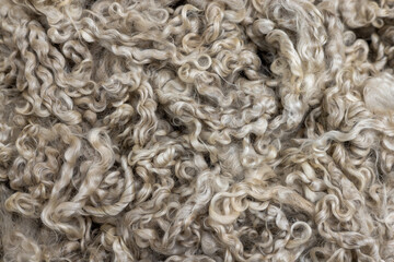 Mohair fleece background