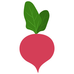 Radish Icon