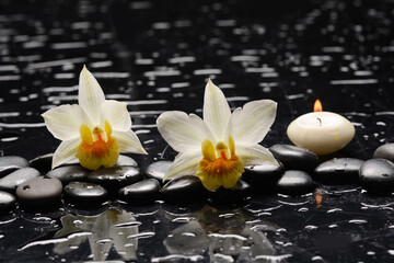 Spa still with white orchid, close up,candle with black zen stones, - 580548915