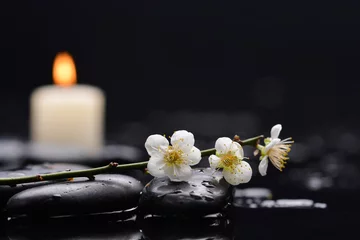 Fototapeten Spa still life of zen stones ,candle with drops and blooming twig of plum ,cherry with petals   © Mee Ting