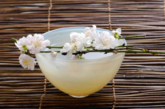 White sakura flower (cherry) in a glass vase,bowl with water, close-up. on wooden stem mat 