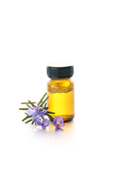 blue rosemary flowers isolated on a white background 