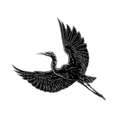 Egret hand drawing vector isolated on background.