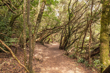 Wanderweg nahe Mirador Cruz Del Carmen