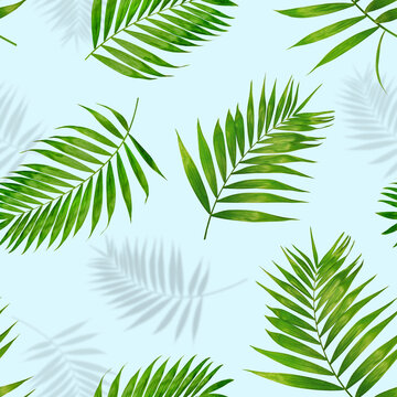 seamless pattern green palm leaves and shadows on a light blue background