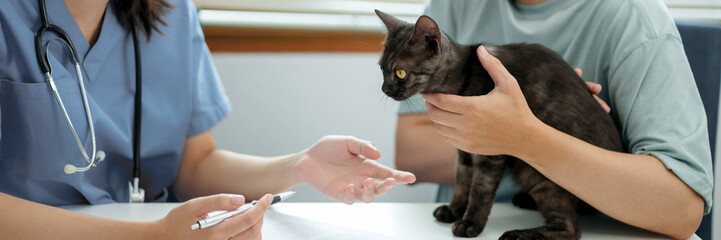 Doctor veterinarian is holding cute cat  at vet clinic.  Pet check up and vaccination. Health...