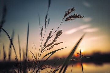 Gorgeous reed in sunset glow. Photo generative AI
