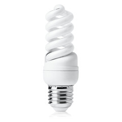 one energy saving light bulb on isolated white background
