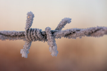 Gefrorener Stacheldraht