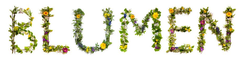 Fototapeta na wymiar Colorful Blooming Flower Letters Building Word Blumen Means Flower