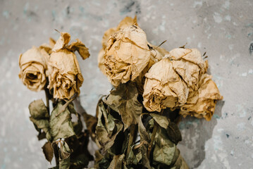 Dried bouquet of rose flowers on a gray structural background. Composition of dry flowers on concrete old dirty texture wall. Copy space. Place for text. Flat lay, top view. Blurred, selective focus.