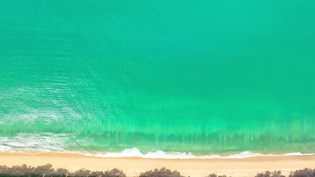 .aerial top view above white sand beach..turquoise sea at Thy Maung beach Phang Nga. 4k colorful blue sea background..beautiful nature in the long beach with pine trees. fishing boat background...