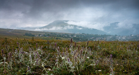 Landscape with a mountain village and fields with flowers on a cloudy summer day after rain with a haze.