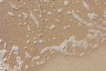 Sandy peregrine with sea foam with space for text.