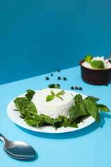 Concept of tasty dairy product - ricotta cheese, space for text