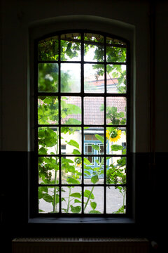 Germany, Brandenburg, Potsdam, Building seen through paned window in summer