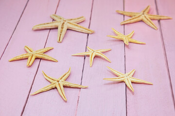 Fototapeta na wymiar Starfishes on pink boards. Travel, vacation, sea background. Copy space