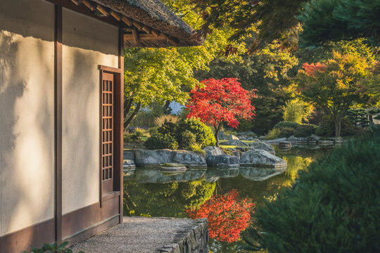 Germany, Hamburg, Pond and Japanese teahouse in Planten un Blomen park