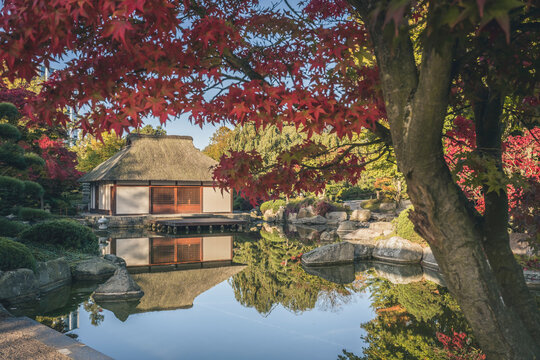Germany, Hamburg, Pond and Japanese teahouse in Planten un Blomen park