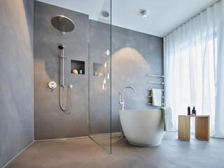 Bath tub and shower area in modern apartment