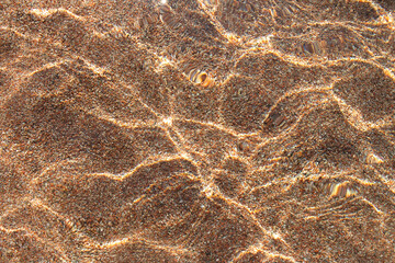 Fototapeta na wymiar Transparent clear water sea surface texture with ripples over sandy beach with pebble. Abstract summer background. Copy space