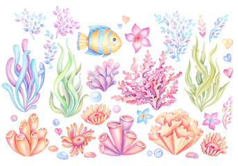 Set of colorful corals and seaweed. Marine plants and aquarium algae on transparent background. Underwater flora hand painted watercolor illustration. Under the sea clip art - 580572738