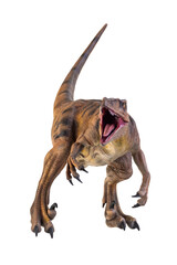 dinosaur , Velociraptor  isolated background
