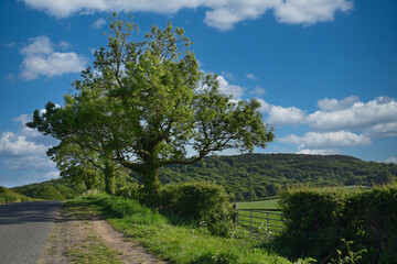 Obraz premium Yorkshire landscape