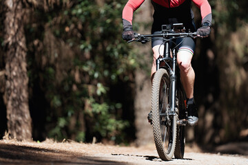 Obraz premium Mountain biking man riding on bike in summer mountains forest landscape