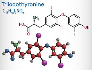 Triiodothyronine, T3, liothyronine molecule. It is thyroid hormone, pituitary gland hormone, used to treat hypothyroidism. Structural chemical formula, molecule model.