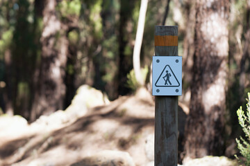 Sign of the tourist trail in the forest. Wooden sign shows tourists the directions of the trail....
