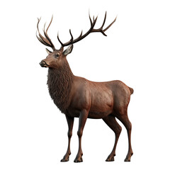 Obraz na płótnie Canvas Realistic deer