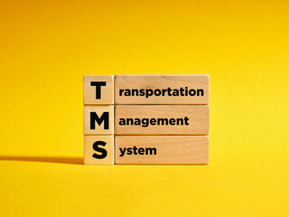 Wooden cubes with the the acronym TRM transportation management system. Planning and coordination...