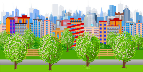 Flowering trees and benches in the city park. Beautiful view of a modern city in the background. Vector illustration in a realistic style. 
