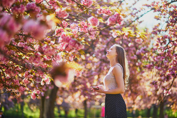 Naklejka na ściany i meble Beautiful young woman on sunny spring day in park during cherry blossom season
