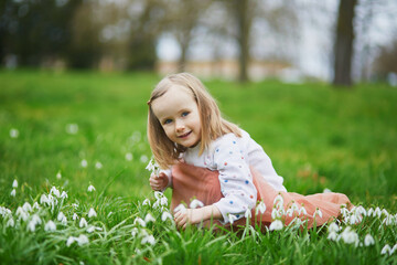 Fototapeta premium Preschooler girl in pink tutu skirt sitting in the grass with many snowdrop flowers in park or forest on a spring day