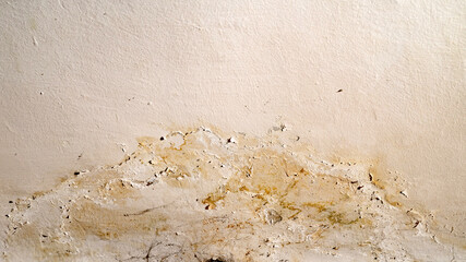 Flooding rainwater, causing damage, peeling paint and mildew.
