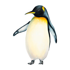 Watercolor king penguin isolated on white background. Hand painting realistic Arctic and Antarctic ocean mammals. For designers, decoration, postcards, wrapping paper, scrapbooking, covers, logos, inv