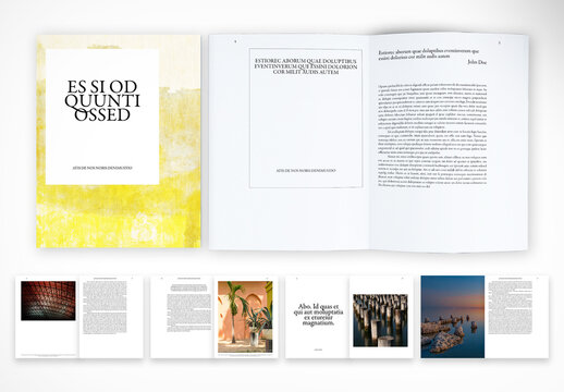 Tasteful and Elegant Renaissance Book