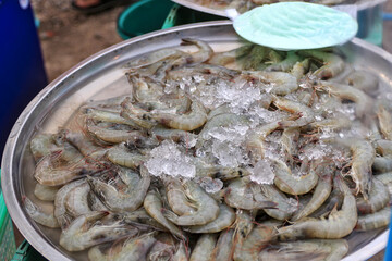 Frozen shrimp with ice cubes in a stainless steel tray Sell at the community market