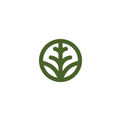 Pine Tree Logo Design. Pine Line Icon