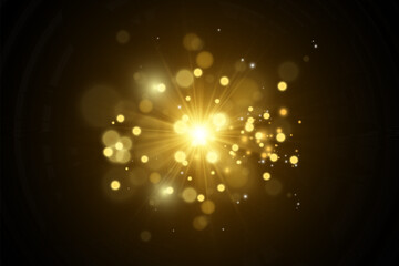 	
Brilliant gold dust vector shine. Glittering shiny ornaments for background. Vector illustration.
