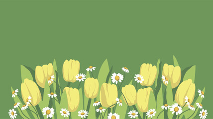 Spring banner with tulips and daisies. Flowers background for design.